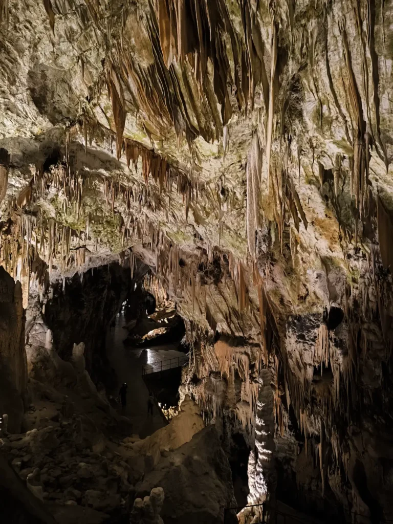 Cueva de Postojna en Eslovenia